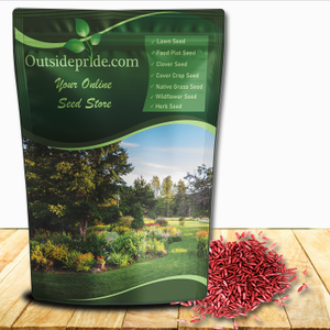 Combat Extreme Northern Zone - Tall Fescue & Kentucky Bluegrass Seed