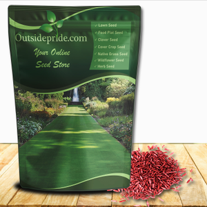 Legacy Fine Fescue Grass Seed For Lawns - Grass Seed For Shade