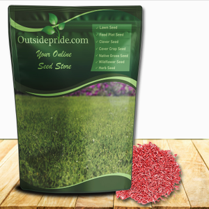 Kentucky Blue Grass Seed - Kentucky Bluegrass Seed Blend