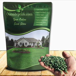 Sundancer Buffalo Grass Seed Native Drought Tolerant Grasses For Xeriscape Landscaping