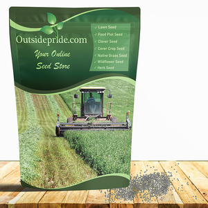 Vernal Alfafa Seed For Cover Crops and Forage