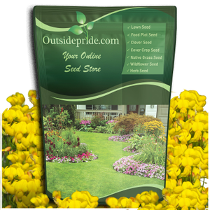 Birdsfoot Trefoil Legume Seed