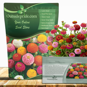 Lilliput Zinnias Seed For Planting - Zinnia Mix Flower Seeds