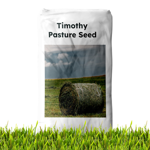 Timothy Bunch Grass Seed