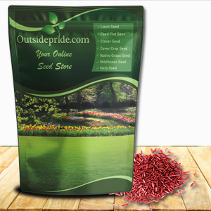 Creeping Red Fescue Grass Seed For Shade