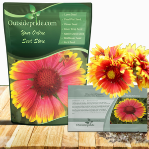 Gaillardia Aristata Seed For Planting - Drought Tolerant Blanket Flower seeds
