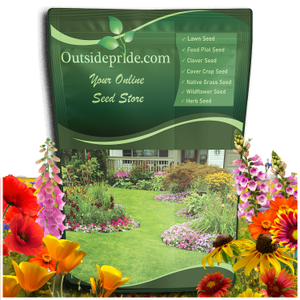 Deer Resistant Wild Flower Seed Mix - available in bulk