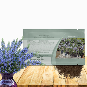 Rosemary Seed For Planting - Rosemarinus Officinalis Herb Garden Plant Seeds