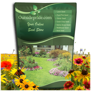 Mountain wild flower seed mix from Outsidepride.