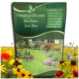 Midwest wildflower seed mix from Outsidepride.