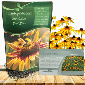 Rudbeckia Hirta Seeds Gloriosa Daisy Drought Tolerant Wildflower Seed