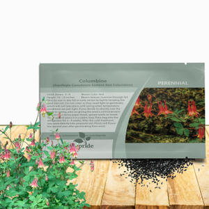 Columbine Seeds - Aquilegia Canadensis Wild Columbine Flower Seed