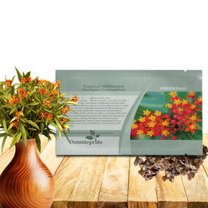 Red Mexican Butterfly Weed For Planting Outdoors | Tropical Milkweed Wildflower Seeds