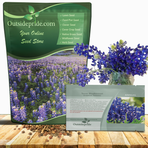 Texas Bluebonnet Seeds For Planting | Wildflower Seed For Planting Outdoors