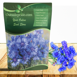 Cornflower Seeds - Bachelor's Button Drought Tolerant Wild Flower Seed