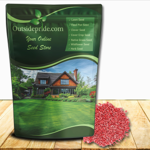Kentucky Bluegrass Seed For Lawns - Bluegrass Lawn Seeds for planting
