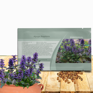 Ajuga Reptans Ground Cover Plant Seed