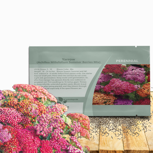 Yarrow Seed Mix For Planting Outdoors - Achillea Summer Berries Flower Seed Mix