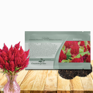 Woolflower Seeds - Celosia Plumosa Nana Glitters Scarlet Seeds
