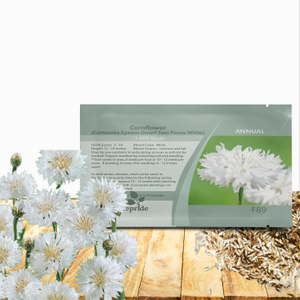 White Cornflower Bachelor's Button Drought Tolerant Garden Flower Plant Seed
