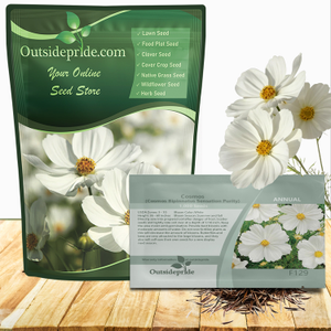Drought Tolerant Cosmos Bipinnatus Sensation Purity Garden Flower Plant Seed