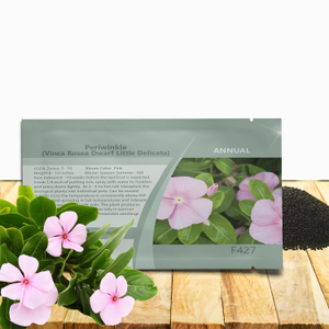 Drought Tolerant Periwinkle Vinca Rosea Pink Ground Cover Plant Seed