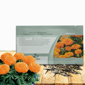 Tagetes Erecta African Marigold Orange Garden Flower Plant Seed