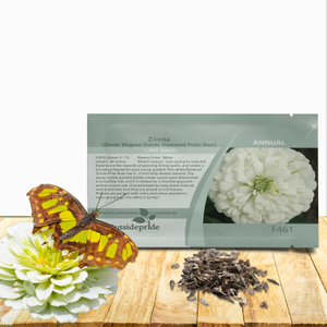 Polar Bear Zinnia Seed - White Zinnia Flower Seeds