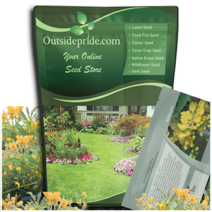 Partridge Pea Seeds Drought Tolerant Wild Flower & Forage Seed