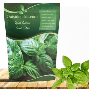 Basil Seed - Large Leaf Sweet Basil Herb Seeds