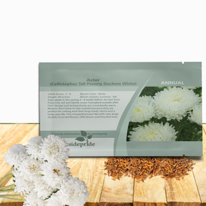 Aster Seed - Aster Callistephus Paeony White Double Flower Seeds