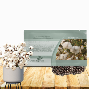 Levant Cotton Seeds - Gossypium Herbaceum Flower Seed