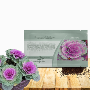 Ornamental Cabbage Seeds For Planting - Ornamental Brassica Flower Seed