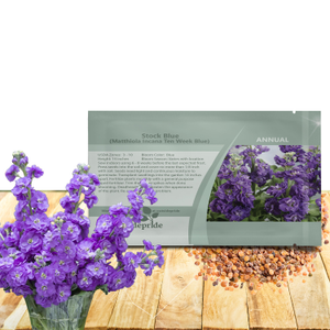Stock Seed - Matthiola Incana Flower Seeds
