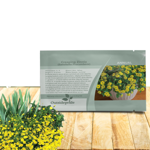 Dahlberg Daisy Seeds - Thymophylla Tenuiloba Ground Cover Seed