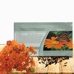 Orange Mexican Sunflower Seeds For Planting | Tithonia Speciosa Goldfinger