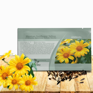 Mexican Sunflower Tithonia Yellow Torch Heat & Drought Tolerant Garden Flower Plant Seed