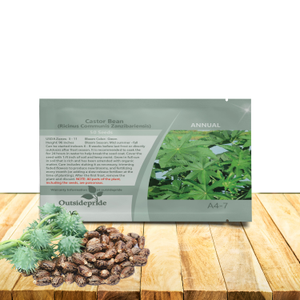 Castor Bean Seeds - Ricinus Communis Zanzibariensis Seed