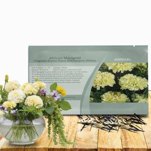 Marigold Seeds - Tagetes Erecta Kilimanjaro Flower Seed