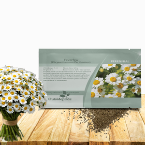 Feverfew Seeds For Planting | White Chrysanthemum Feverfew Herb Seeds