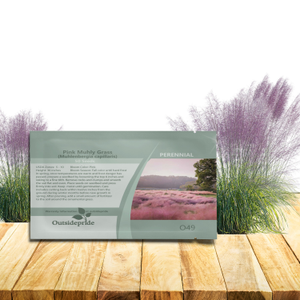 Pink Muhly Drought Tolerant Xeriscape Ornamental Grass Plant Seed
