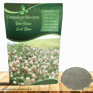 Arrowleaf Clover Seeds - Trifolium Vesiculusom