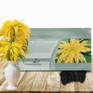 Drought Tolerant  Amaranthus Tricolor Yellow Garden Flower Plant Seed