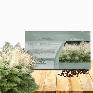 Aruncus Dioicus Seeds - Goatsbeard Flower Seeds