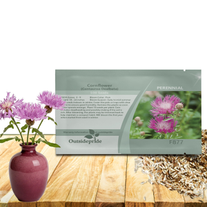 Centaurea Dealbata Flower Seeds - Perennial Cornflower