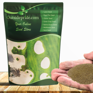 Crystal Bluelinks Creeping Bent Grass Seed