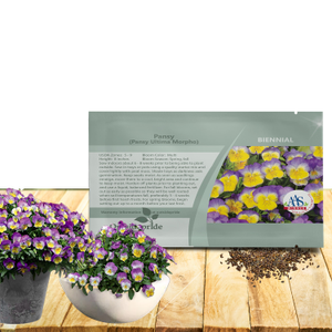 Pansy Ultima Morpho Garden Flower Seed - AAS Winner