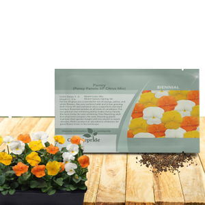 Pansy Panola XP Citrus Mix - Pansy Flower Seeds