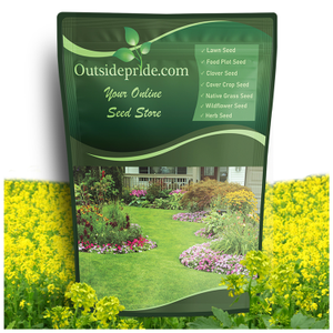 White Mustard Seeds For Cover Crops