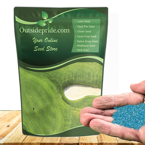 Oasis Drought Tolerant Bermuda Lawn Grass Seed Blend For Full Sun